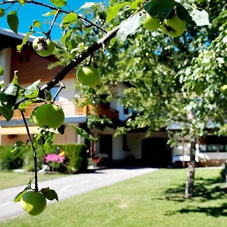 Haus Obermoser Dellach im Drautal Экстерьер фото